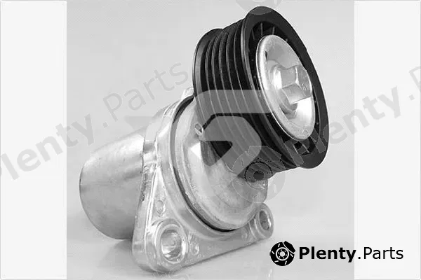Hutchinson T0491 — Tensioner Pulley, V-ribbed belt