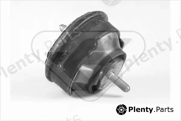 Hutchinson 594253 — Mounting, engine