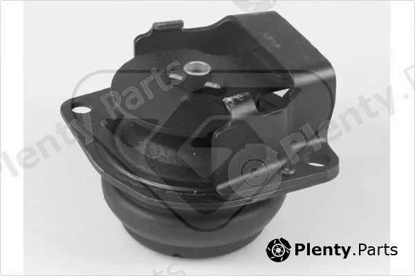 Hutchinson 597033 — Mounting, engine