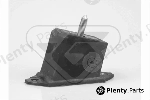 Hutchinson 539706 — Mounting, engine