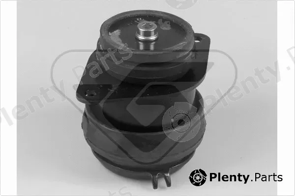 Hutchinson 538267 — Mounting, engine