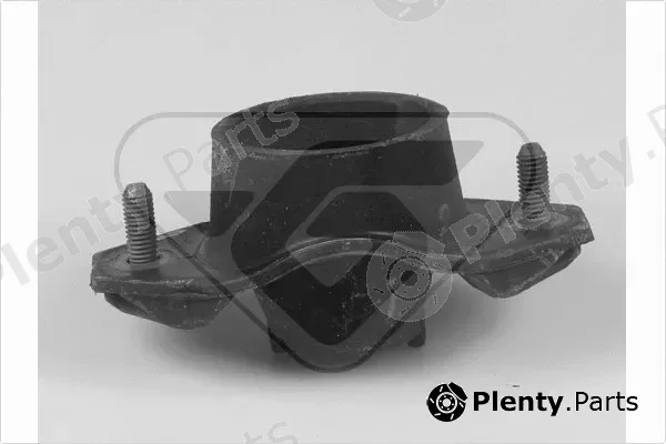 Hutchinson 599047 — Mounting, engine