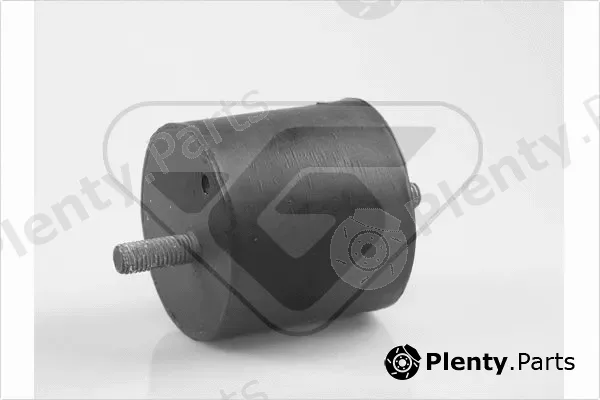 Hutchinson 594325 — Mounting, engine