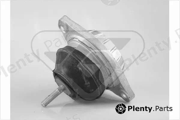 Hutchinson 594230 — Mounting, engine