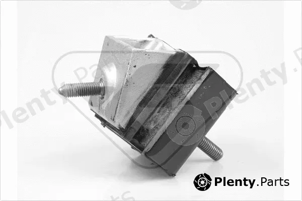 Hutchinson 598009 — Mounting, engine