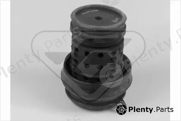 Hutchinson 538231 — Mounting, engine