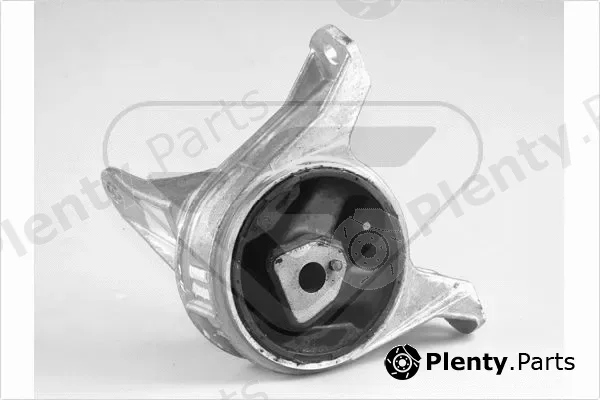 Hutchinson 594250 — Mounting, engine