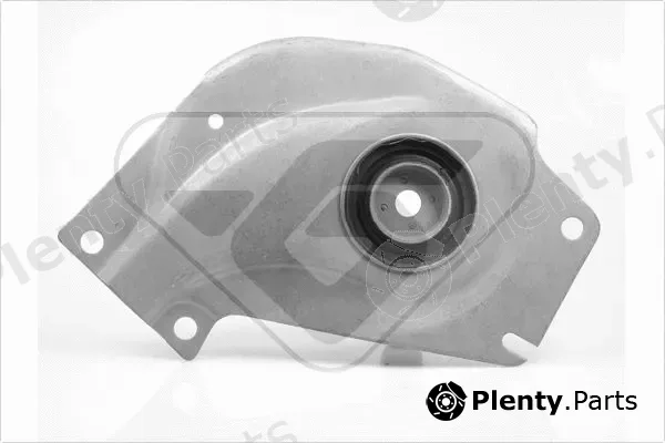 Hutchinson 539865 — Mounting, engine