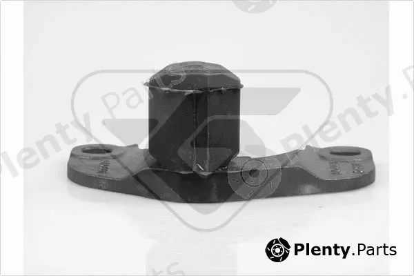 Hutchinson 538109 — Mounting, engine