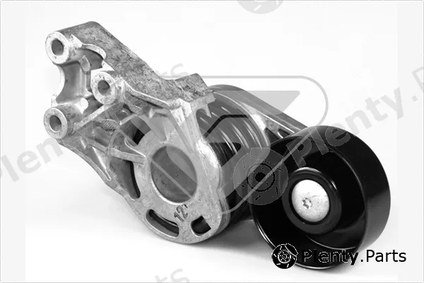 Hutchinson T0256 — Tensioner Pulley, V-ribbed belt