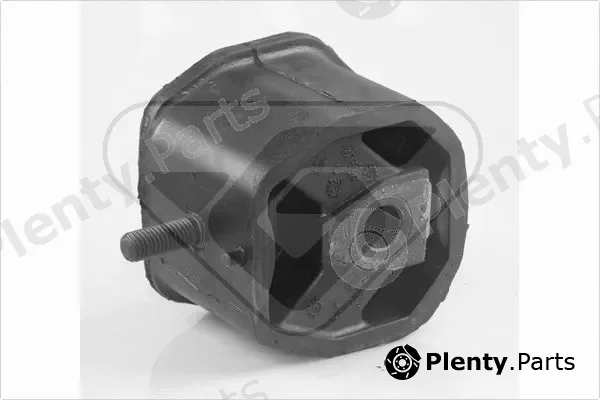Hutchinson 594276 — Mounting, engine