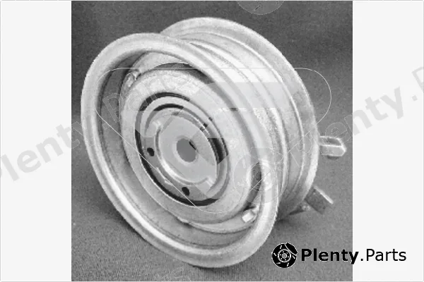 Hutchinson HTG113 — Tensioner Pulley, timing belt