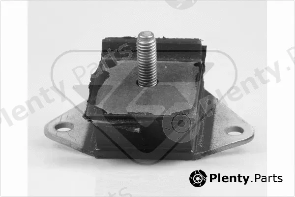 Hutchinson 539239 — Mounting, engine