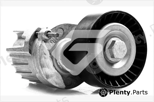 Hutchinson T0262 — Tensioner Pulley, V-ribbed belt