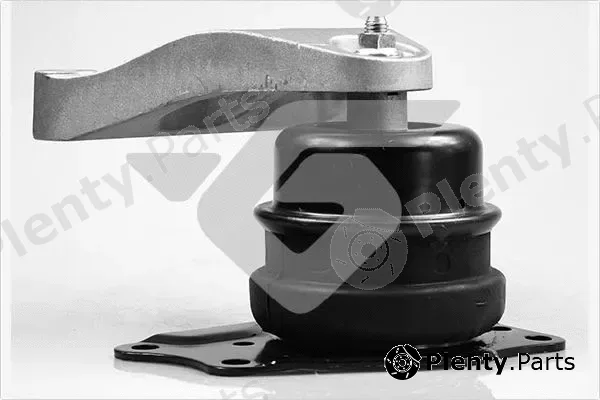 Hutchinson 594398 — Mounting, engine
