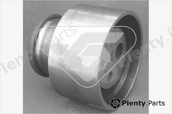 Hutchinson HTG54 — Tensioner Pulley, timing belt