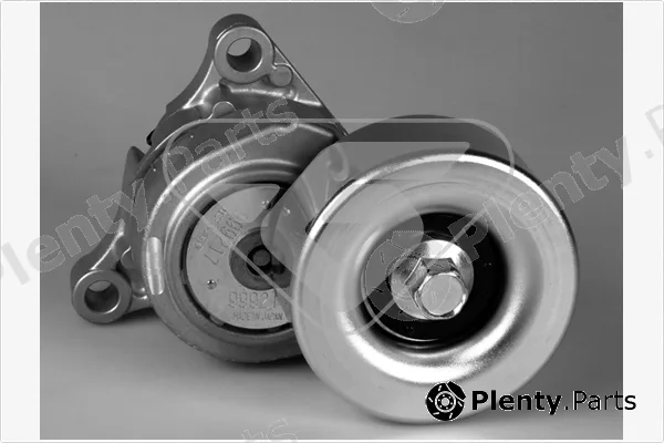 Hutchinson T0428 — Tensioner Pulley, V-ribbed belt