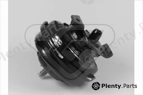 Hutchinson 597052 — Mounting, engine