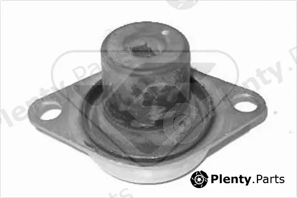 Hutchinson 594214 — Mounting, engine