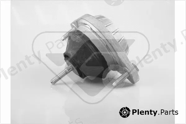 Hutchinson 594219 — Mounting, engine