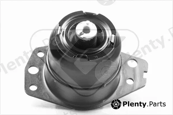 Hutchinson 586025 — Mounting, engine