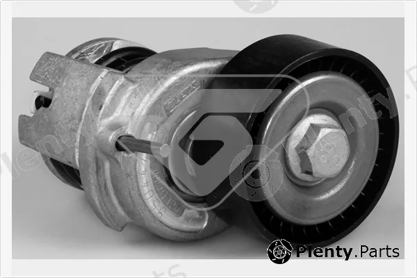 Hutchinson T0259 — Tensioner Pulley, V-ribbed belt