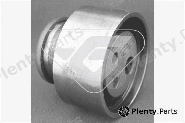 Hutchinson HTG53 — Tensioner Pulley, timing belt