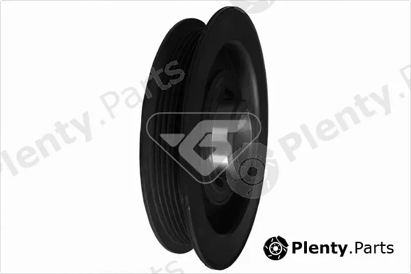 Hutchinson DP031 — Belt Pulley, crankshaft