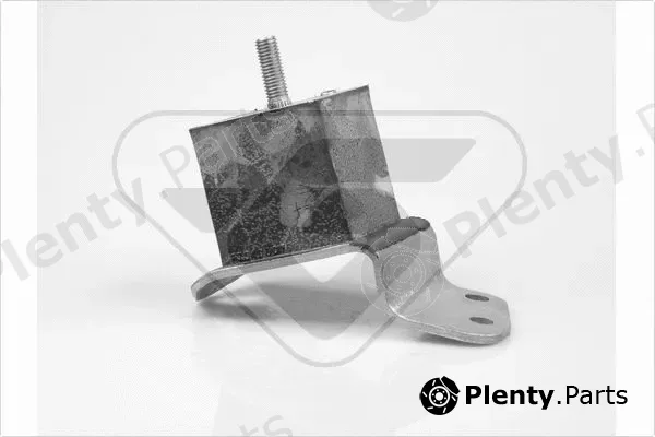 Hutchinson 598008 — Mounting, engine