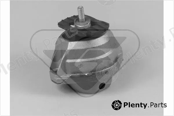 Hutchinson 586309 — Mounting, engine