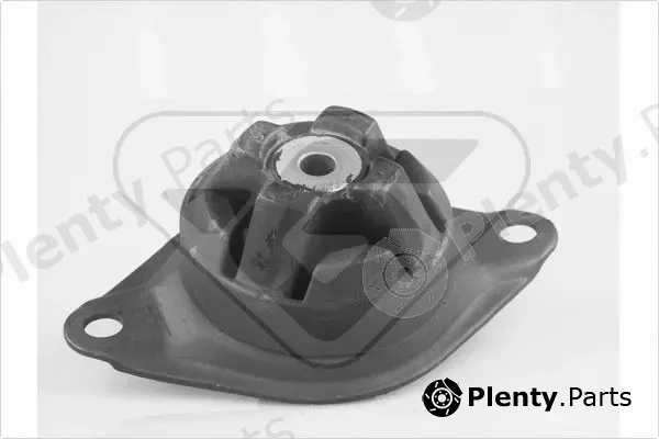 Hutchinson 594305 — Mounting, engine