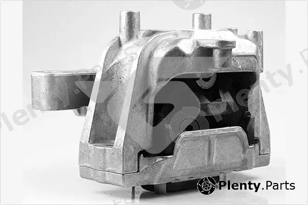 Hutchinson 594419 — Mounting, engine