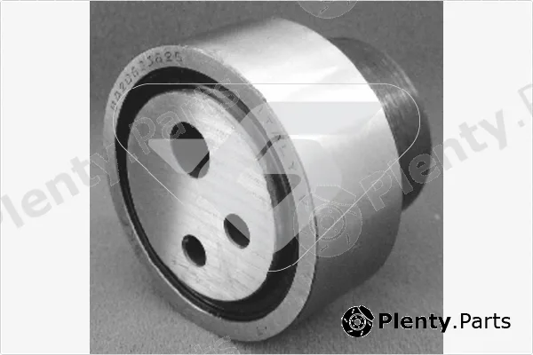 Hutchinson HTG111 — Tensioner Pulley, timing belt
