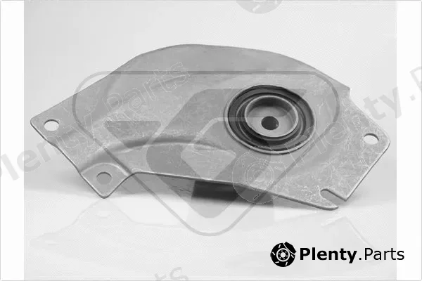 Hutchinson 539794 — Mounting, engine