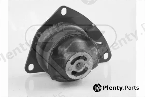Hutchinson 594292 — Mounting, engine