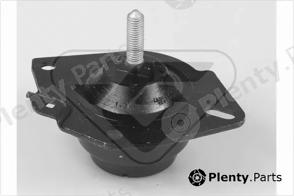 Hutchinson 585000 — Mounting, engine