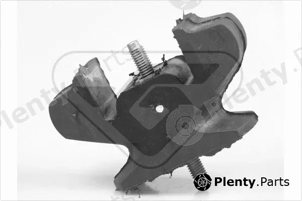 Hutchinson 539712 — Mounting, engine