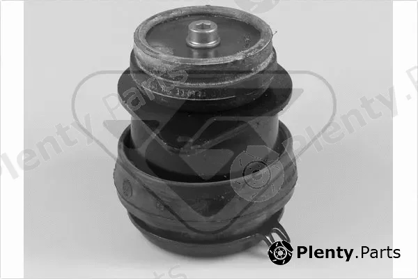 Hutchinson 538236 — Mounting, engine