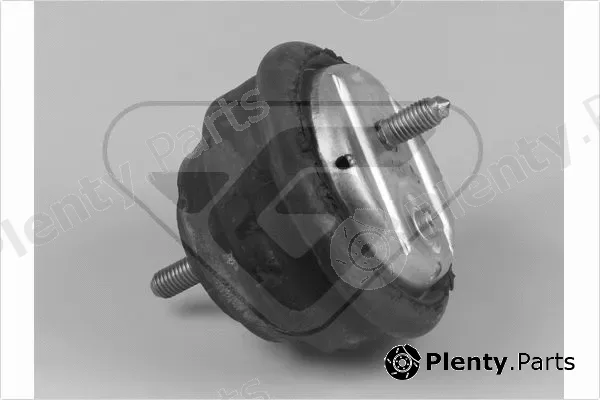 Hutchinson 597019 — Mounting, engine