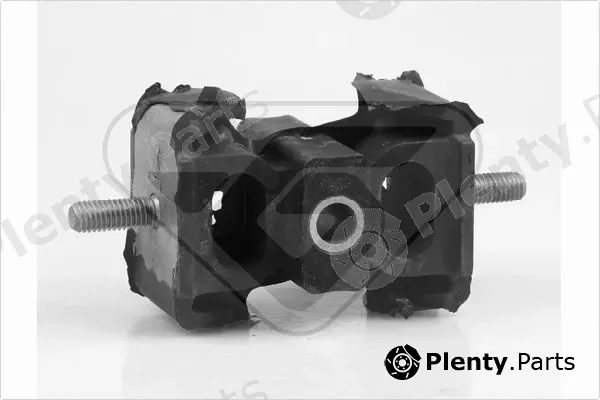 Hutchinson 539631 — Mounting, engine