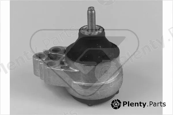 Hutchinson 586099 — Mounting, engine