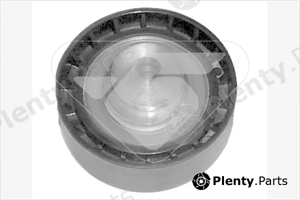 Hutchinson HTG124 — Tensioner Pulley, timing belt