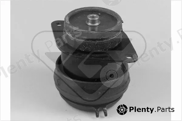 Hutchinson 538268 — Mounting, engine