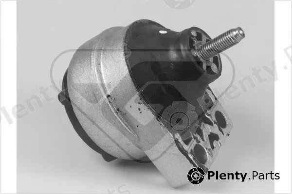 Hutchinson 586089 — Mounting, engine