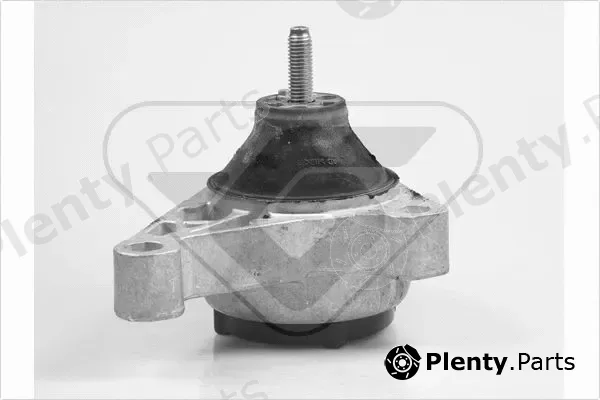 Hutchinson 586258 — Mounting, engine