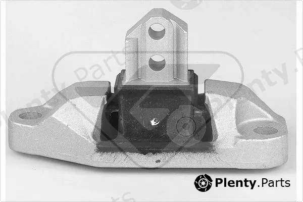 Hutchinson 538842 — Mounting, engine