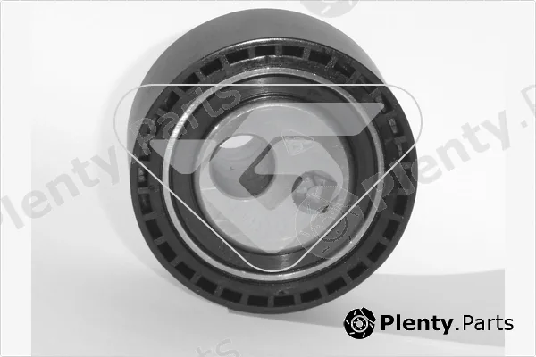 Hutchinson HTG49 — Tensioner Pulley, timing belt