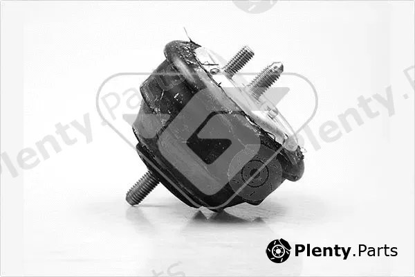 Hutchinson 597020 — Mounting, engine