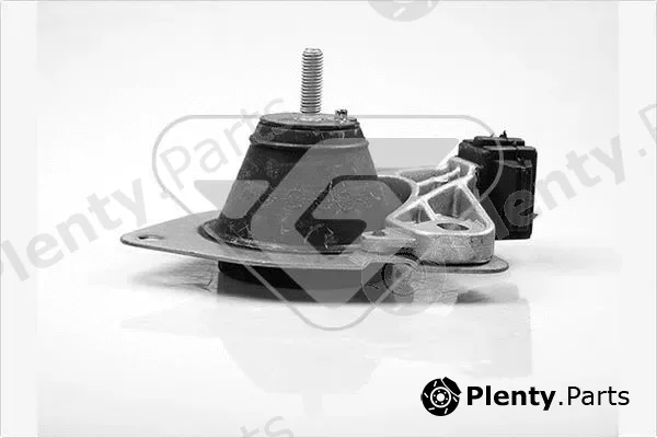 Hutchinson 594220 — Mounting, engine