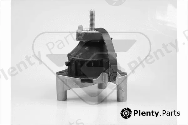 Hutchinson 538765 — Mounting, engine